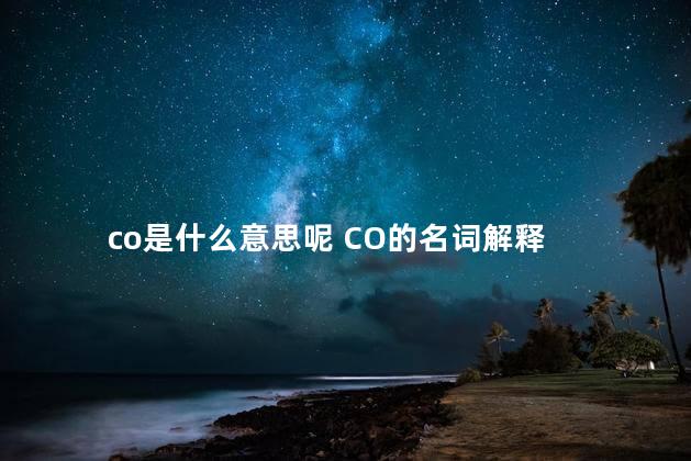 co是什么意思呢 CO的名词解释